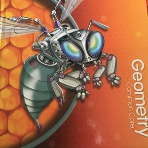 COMMON CORE GEOMETRY BOOK